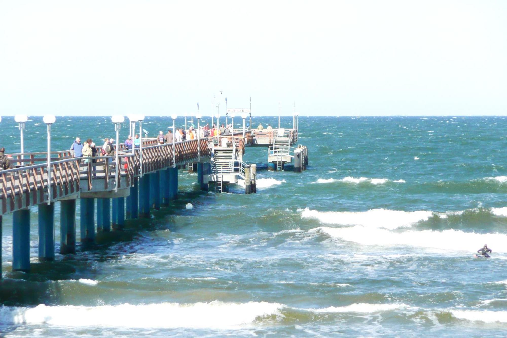 Aparthotel Ostsee Fewo 36 Balkon, Meerblick, Strand ビンツ エクステリア 写真